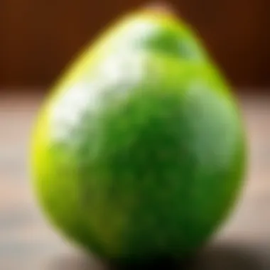 The Texture of Ripe Avocado Ripe avocado showcasing its smooth texture