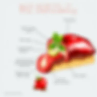 Visual representation of symptoms associated with B12 deficiency