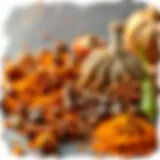 A vibrant assortment of spices used in garam masala