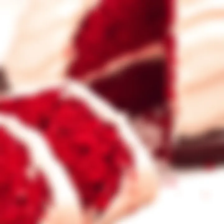 Close-up of the rich texture and color of red velvet cake slices