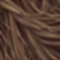 Close-up of oily hair strands highlighting the texture