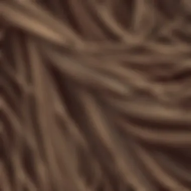 Close-up of oily hair strands highlighting the texture