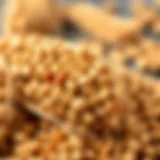 Ancient grain of Siyez wheat showcasing its unique characteristics