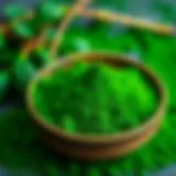 A vibrant display of spirulina powder in a bowl showcasing its deep green color