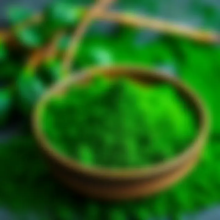 A vibrant display of spirulina powder in a bowl showcasing its deep green color